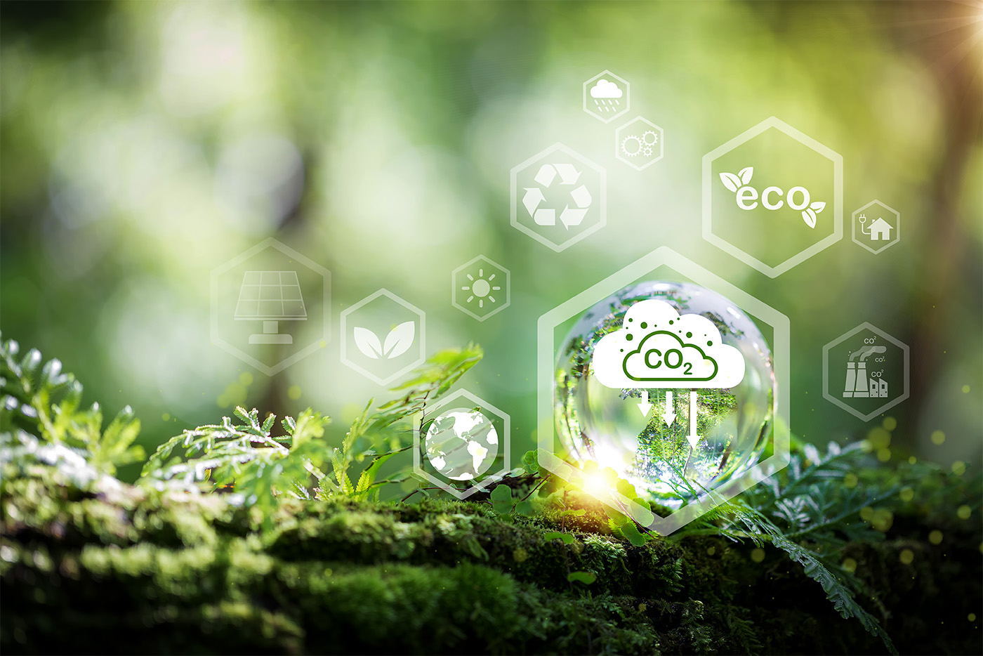 Why Are Cost Insights So Important in Green Manufacturing?